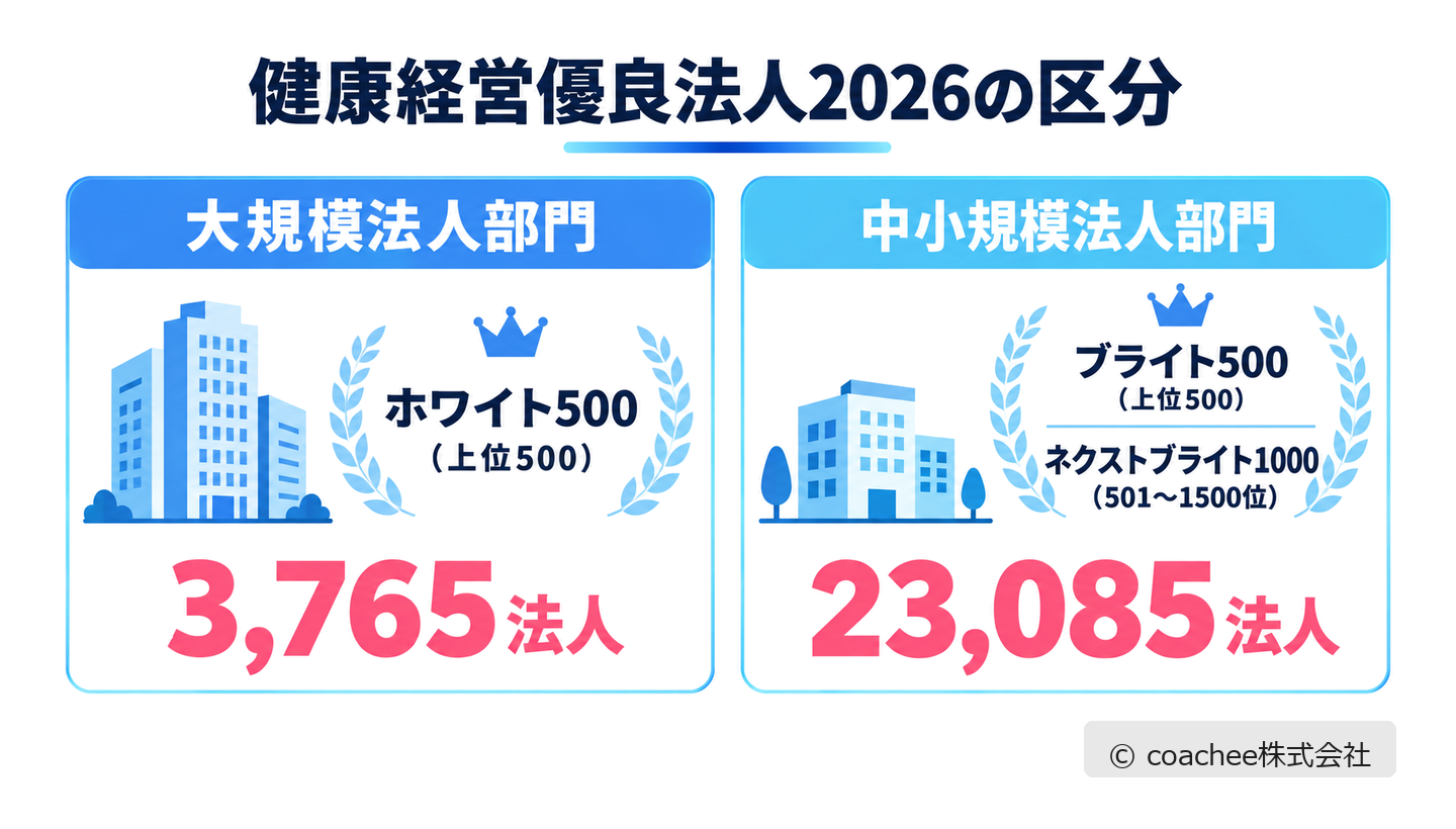 健康経営優良法人2026の大規模法人部門ホワイト500と中小規模法人部門ブライト500ネクストブライト1000の区分・認定数を整理した図